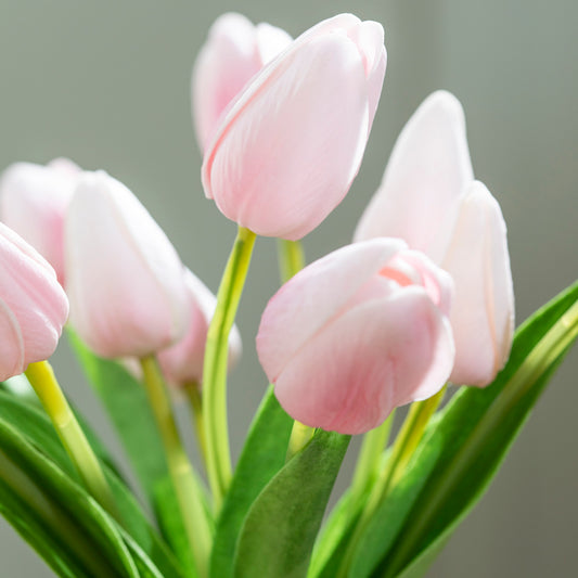 Real Feel Tulip-PINK