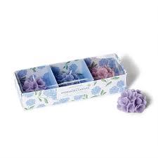 Hydrangea Floral Blooms Scented Candles in Gift Box
