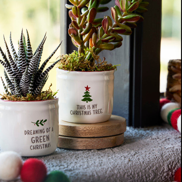 Green Christmas Mini Planter