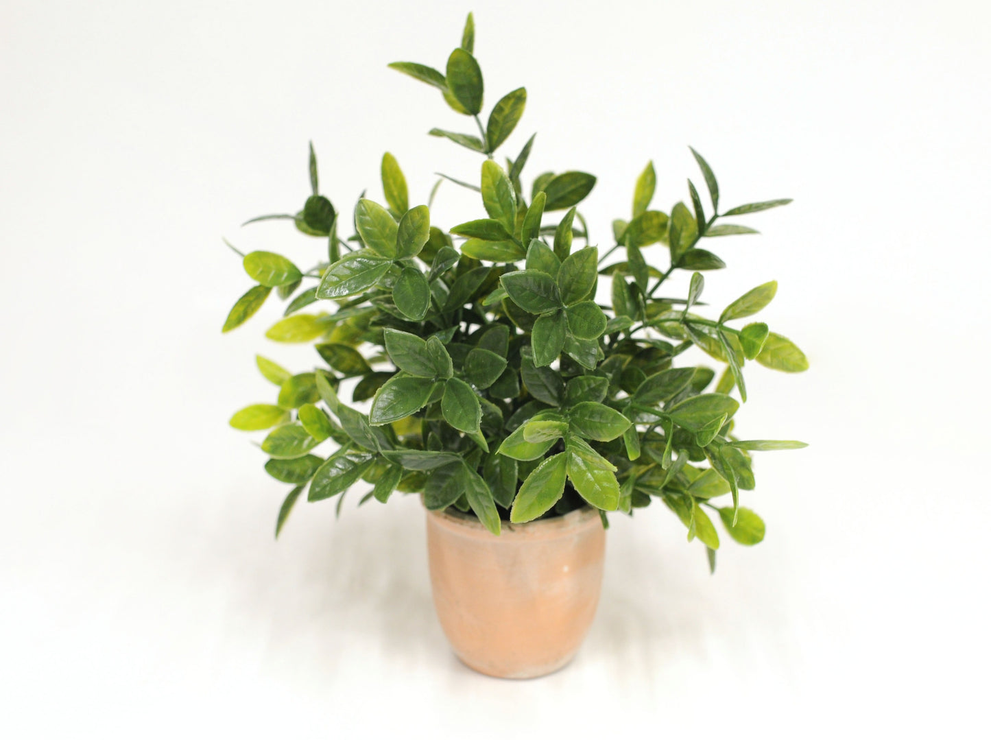Faux Plant