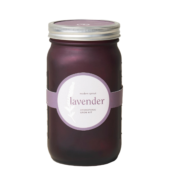 Modern Sprout Garden Herb Jar - Lavender