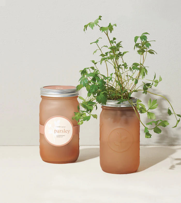 Modern Sprout Herb Garden Jar - Parsley