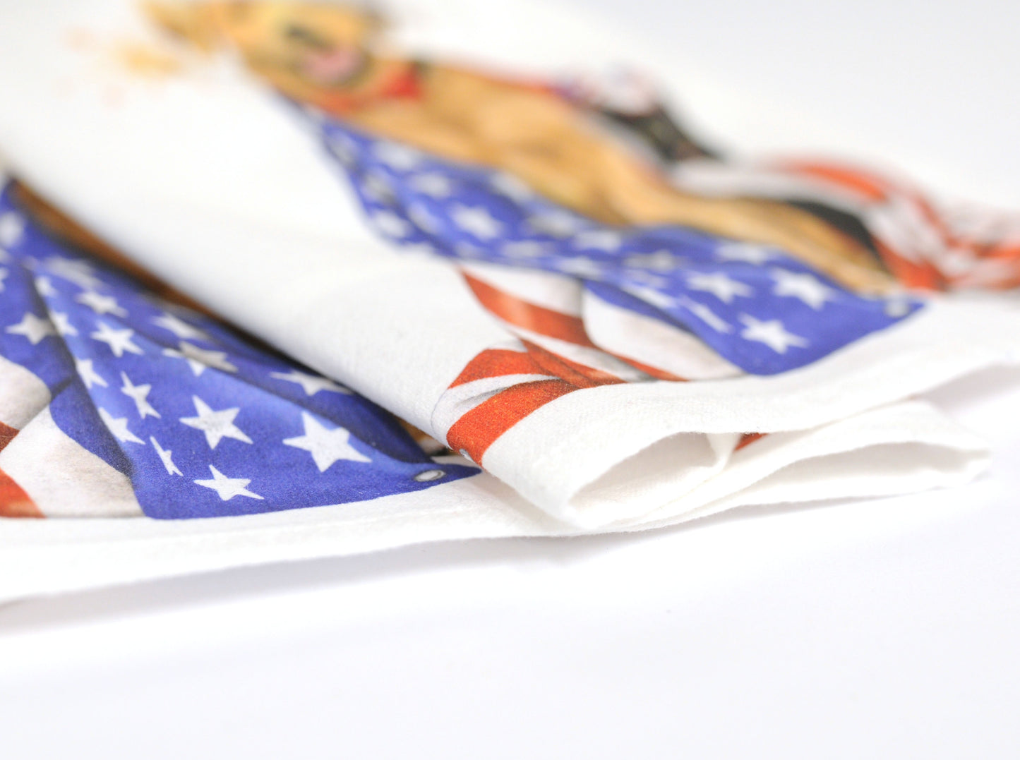 Patriotic Dog and Cat