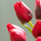 Real Feel Tulip-RED