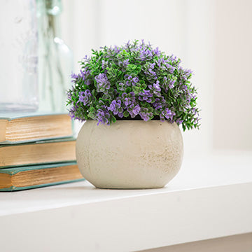 6.25" Purple Floral in Stone Pot