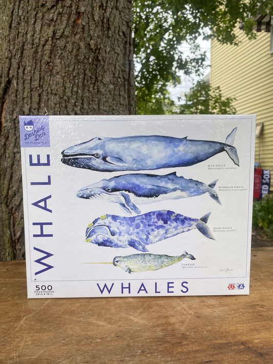 Dashing Dan Puzzle - Whales