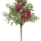 Ganz Winter Berry Pick