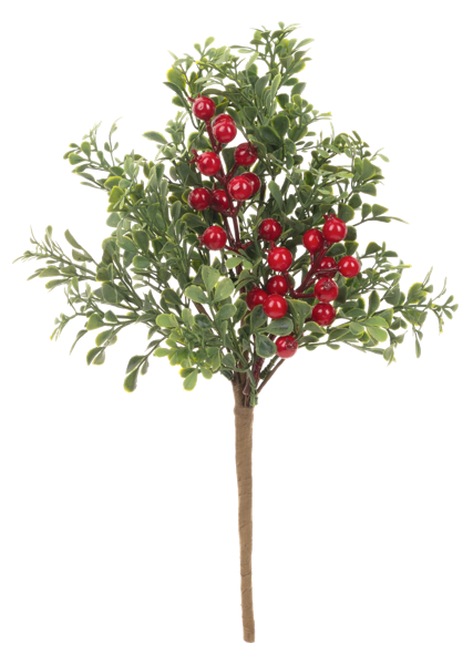 Ganz Winter Berry Pick