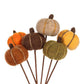 Mini Pumpkin Pick
