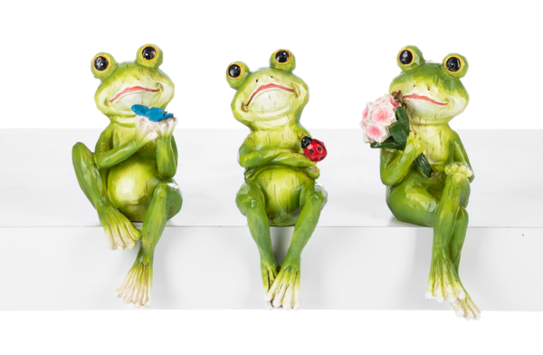 Frog Shelfsitters