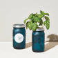 Modern Sprout Herb Garden Jar - Basil