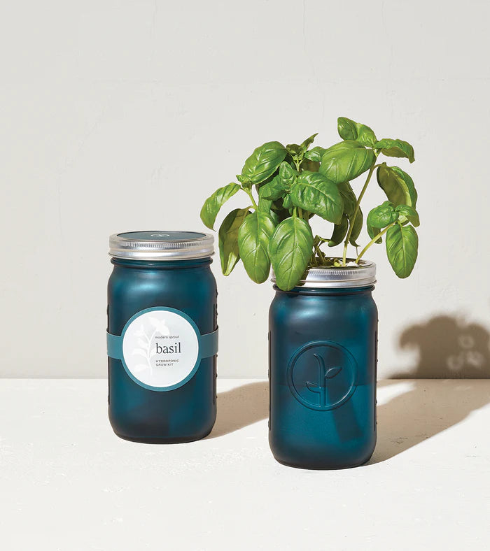 Modern Sprout Herb Garden Jar - Basil