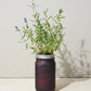 Modern Sprout Garden Herb Jar - Lavender