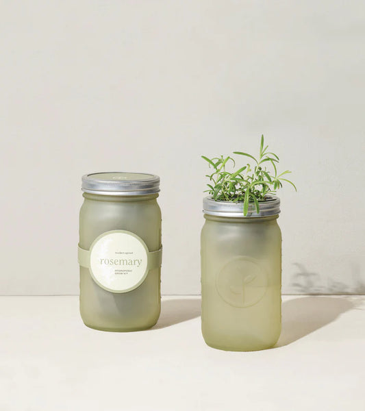 Modern Sprout Herb Garden Jar - Rosemary